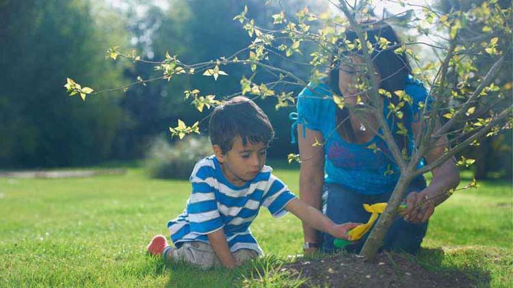 Niño plantando un árbol con su madre.